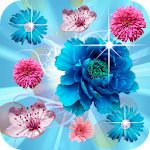 Blossom Party Mania Apk