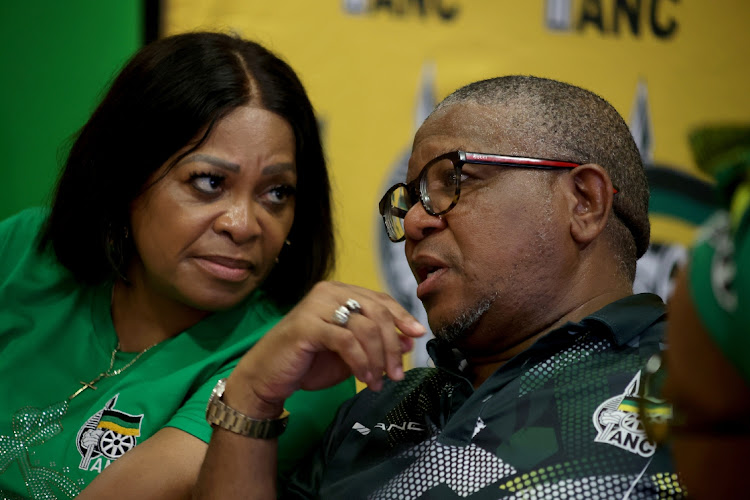 ANC secretary-general Fikile Mbalula said on Thursday the DA's anti-cadre deployment policy pursuit is 'hypocritical, dishonest and anti-transformation'. File photo.