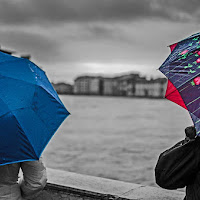 mentre passa la piena dell'Arno.... di 