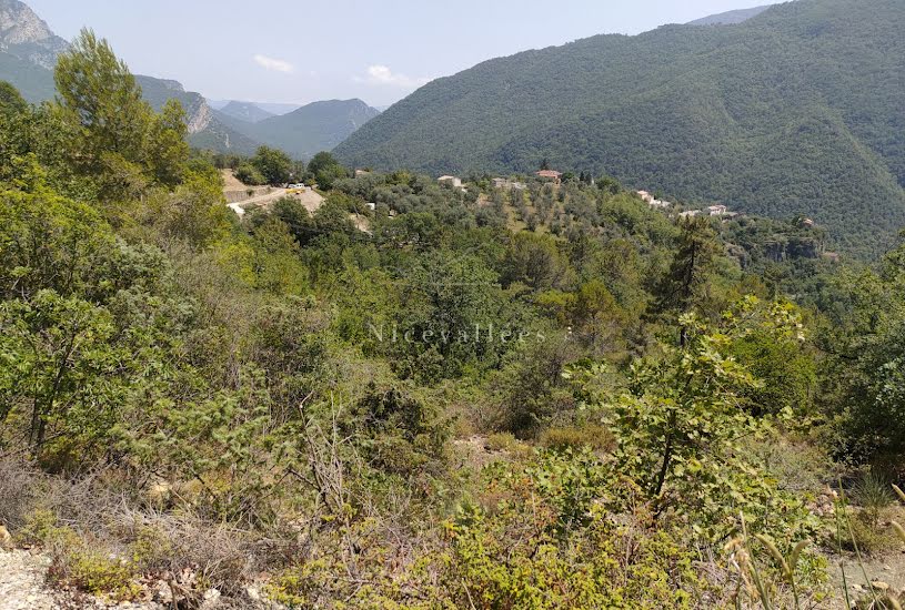  Vente Terrain à bâtir - 1 605m² à Pierrefeu (06910) 