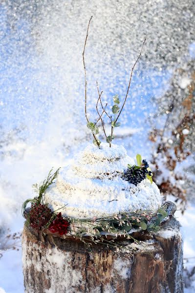 Bröllopsfotograf Ekaterina Nevezhina (nevezhina). Foto av 15 december 2015