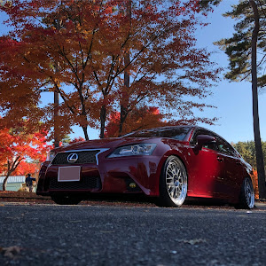 GS GRL10