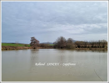 terrain à Villersexel (70)