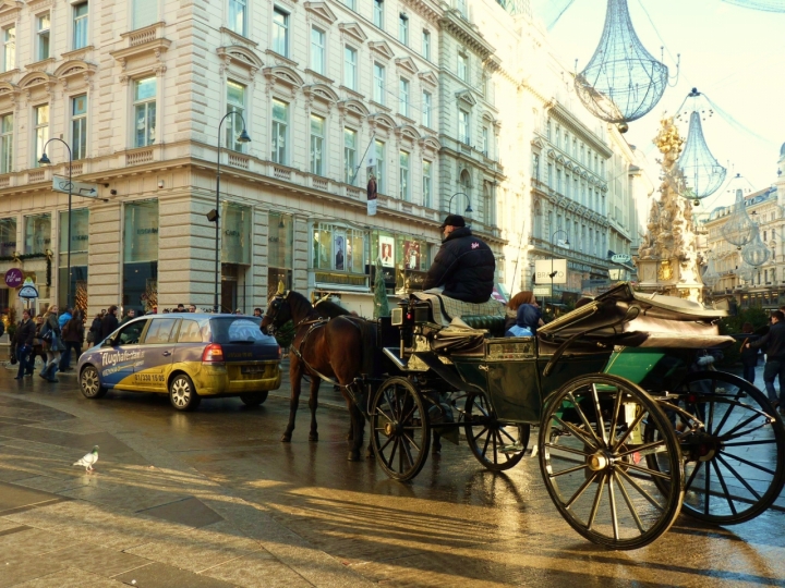 Shopping a vienna  . . . di Hanami