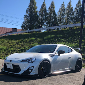 86 ZN6