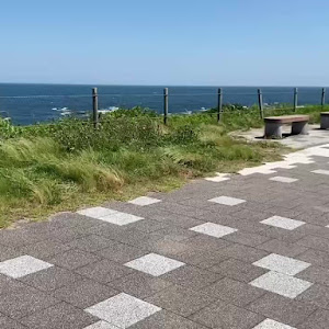 ハリアー
