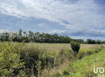 terrain à Réville (50)