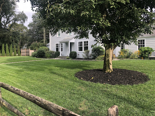 Property 4