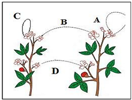 CBSE class 10 Science