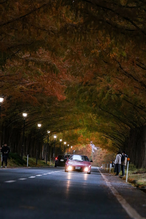 RX-7の2021ベストショット・カレンダーに載ってみたい・11月にエントリーします・カメラマンは嫁さん・メタセコイヤ並木に関するカスタム事例の投稿画像4枚目