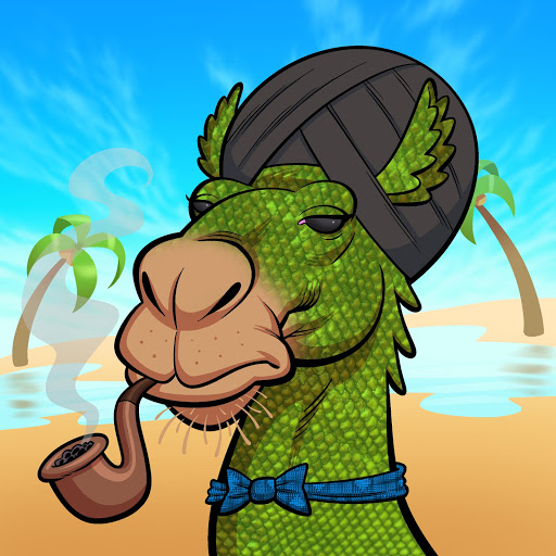 Arabian Camel #2575