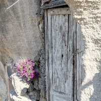 LA PORTA di 