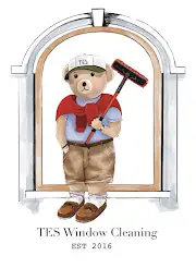 Tes Window Cleaning Logo