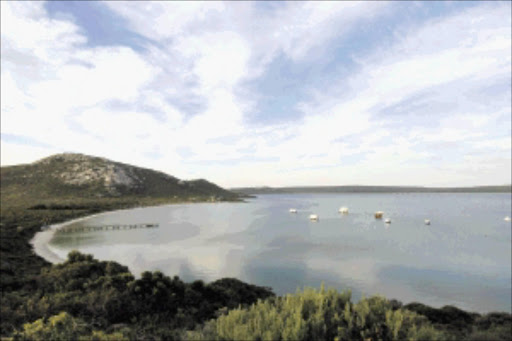 FOCAL POINT: Langebaan Lagoon is one of only three that is fed by the sea and not a river; at low tide, below, it is a feeding ground for many birds including flamingoes Pictures: MATHIEU DASNOIS