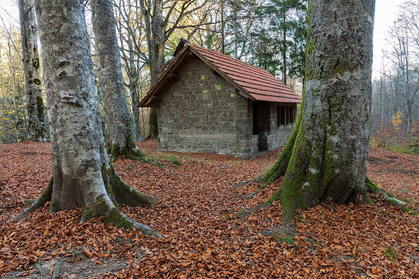 Quattro mura nel bosco di gabrielomar