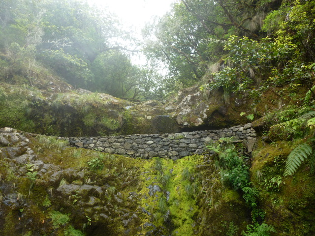 RIBEIRO FRIO. EL BALCON DE RIBEIRO FRIO (BALCOES). LEVADA DO FURADO - MADEIRA, Senderismo por sus Levadas y algo más (11)