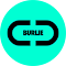 Item logo image for BURLIE - Bynder URL Initiator Extension