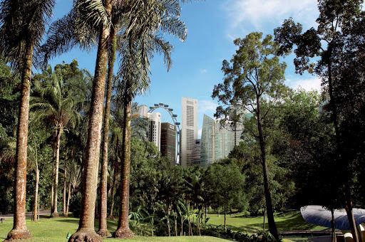 Take a stroll in the parks and gardens in downtown Singapore, with views of the Flyer ferris wheel.