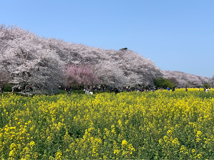 の投稿画像2枚目