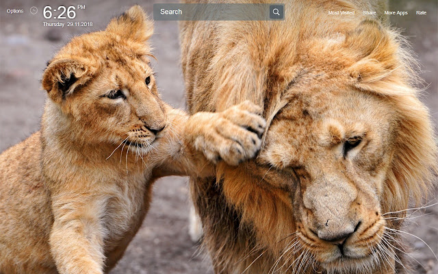 Lion Wallpapers Theme New Tab