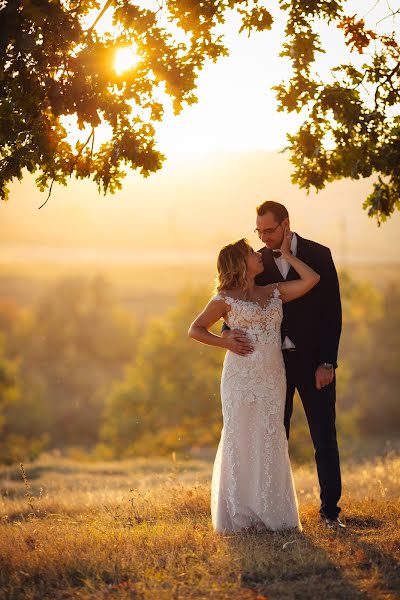 Fotografo di matrimoni Daniel Micu (danielmicu). Foto del 19 novembre 2018