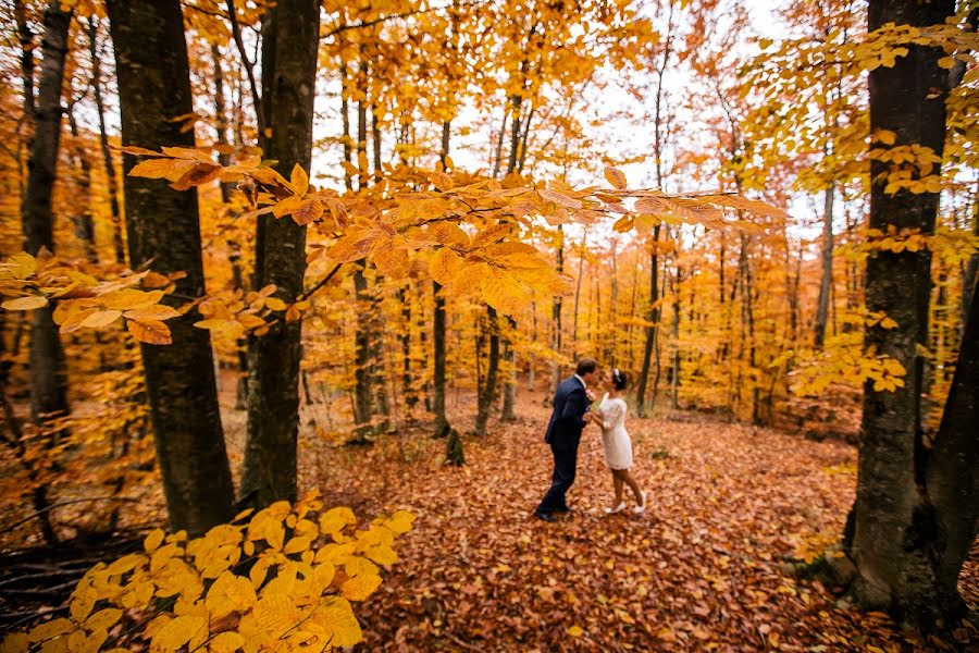 Wedding photographer Elena Chizhevskaya (chijevskaya). Photo of 17 October 2013