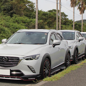 CX-3 DK5AW