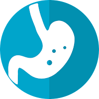 Review of gastrointestinal system.