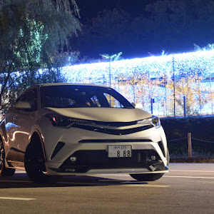 C-HR NGX50