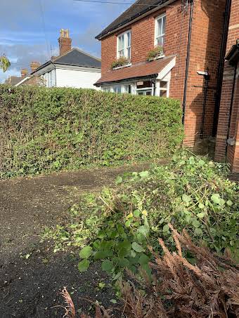 Hedge cutting 👨🏼‍🌾 album cover