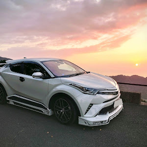 C-HR NGX10