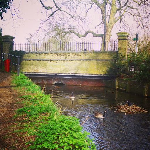 Enfield Local Bridge 1891