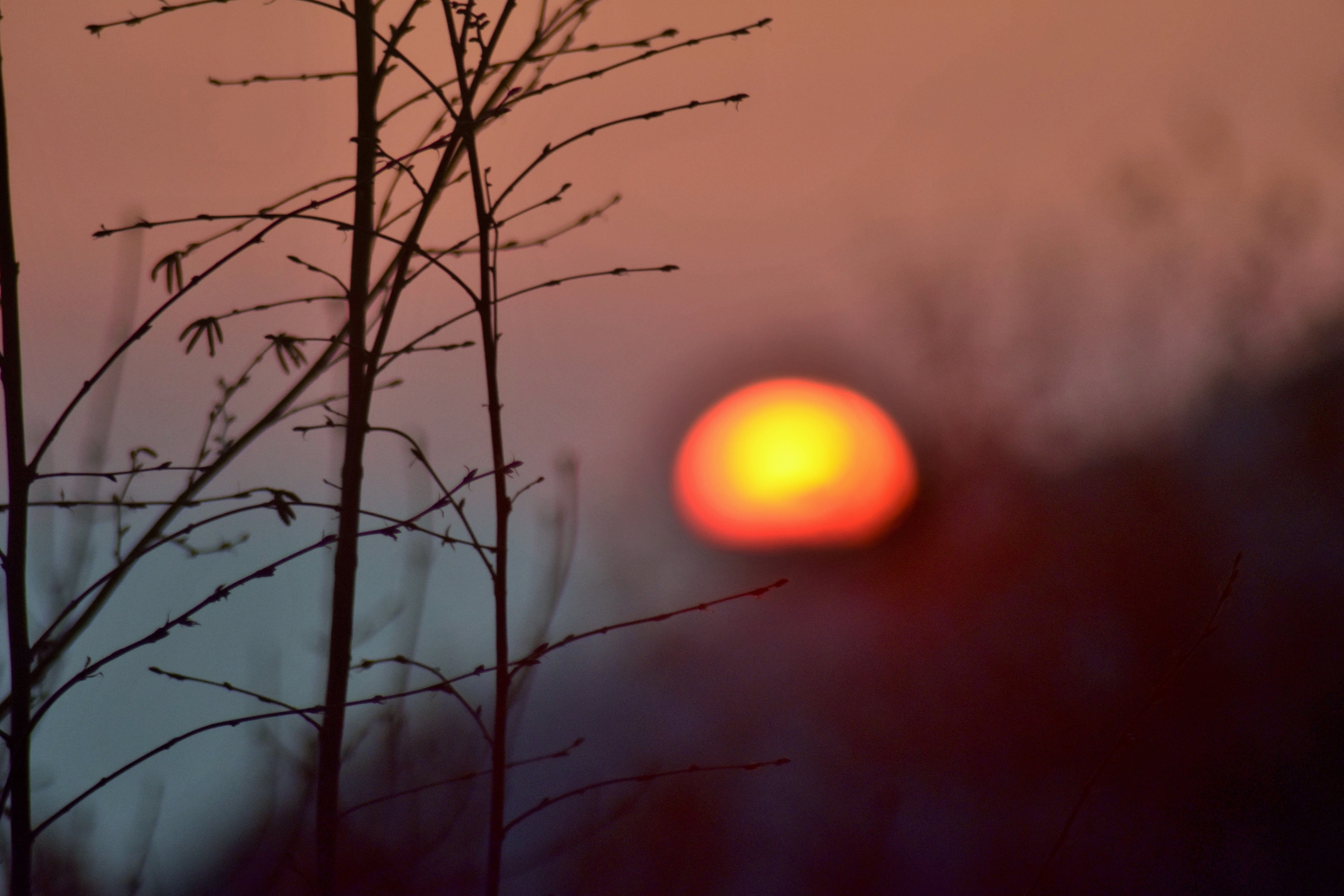 Tramonto nella nebbia di AGATA