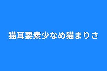 「猫耳要素少なめ猫まりさ」のメインビジュアル