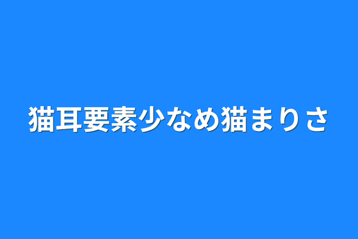 「猫耳要素少なめ猫まりさ」のメインビジュアル