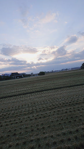 雨々