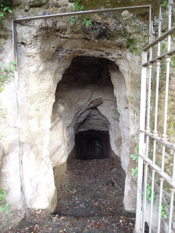 Grotta del Cane, a caverna que matava cães