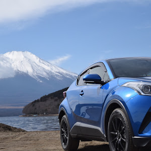 C-HR NGX50