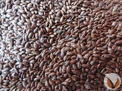Roasted Flax Seed - 800 gm