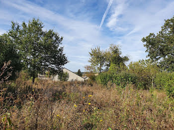 terrain à Saint-Fargeau (89)