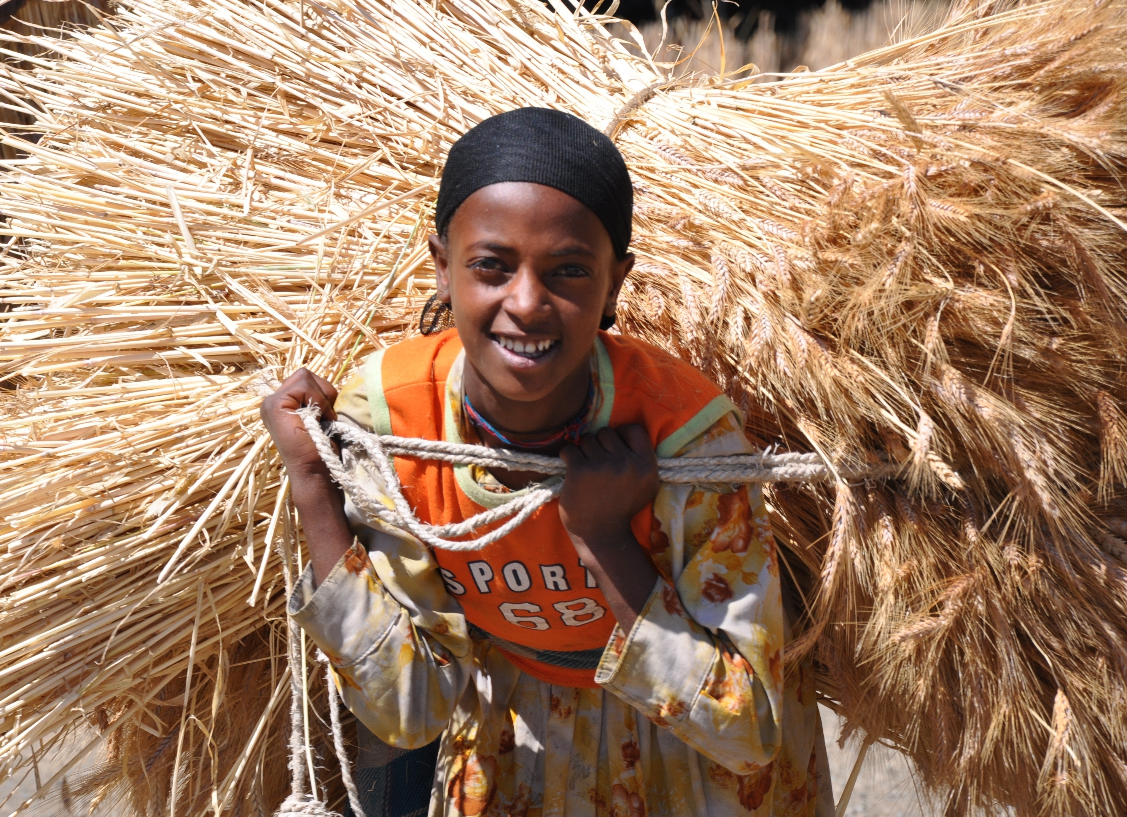 Grano e sorriso di bennardo