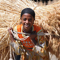 Grano e sorriso di 