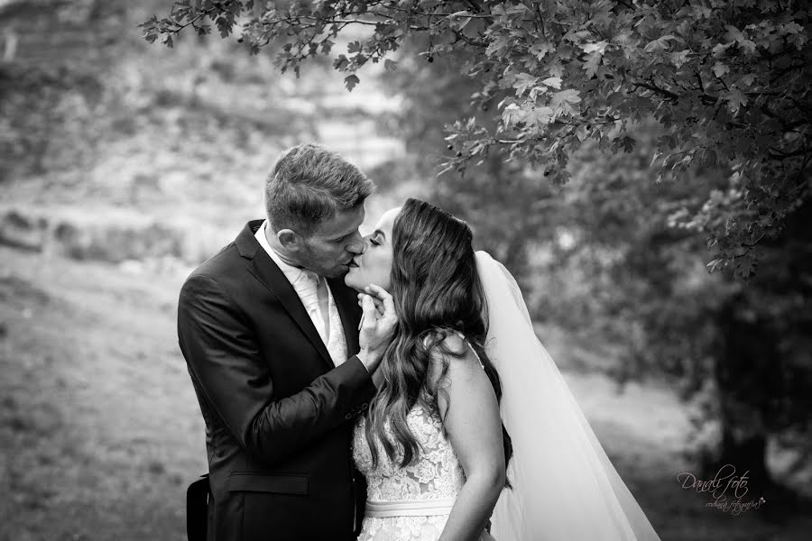 Fotografo di matrimoni Lenka Olejňáková (danalifoto). Foto del 8 aprile 2019