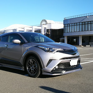 C-HR ZYX10