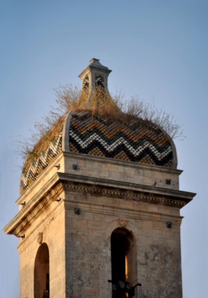 Cupola barbuta...sempre piaciuta! di  cristina masoni