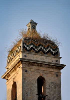 Cupola barbuta...sempre piaciuta! di  cristina masoni