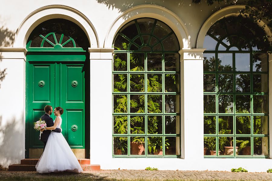 Fotógrafo de bodas Petr Holusa (petrholusa). Foto del 22 de febrero 2020