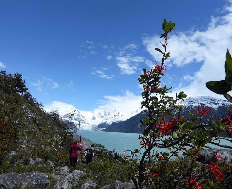 GLACIAR Y LAGUNA LEONES - CHILE: Atacama ( con extensión a Uyuni) y Carretera Austral (25)