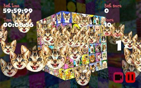 Kittenistry(圖7)-速報App