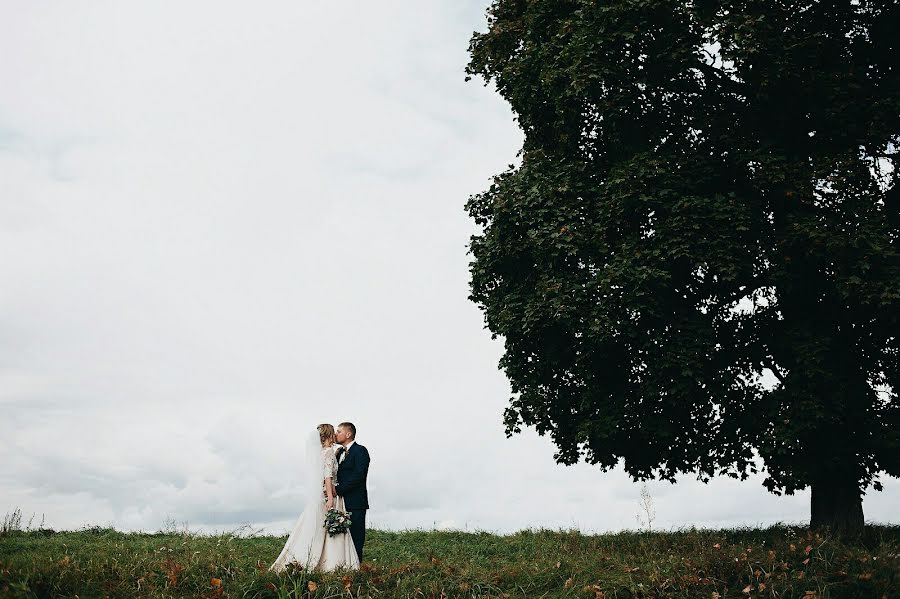 Fotógrafo de casamento Aleksandr Cherepok (sa12356ba). Foto de 14 de janeiro 2017